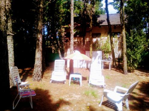 Pampas