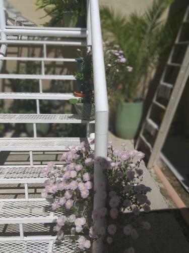 Apartamento Alquileres Grutenses