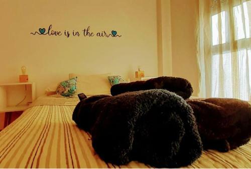 Apartamento Hola La Plata Deptos Temporarios