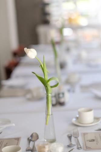 Hostal Constantia White Lodge Guest House