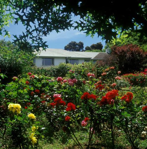Hostal Klein Bosheuwel Guest House