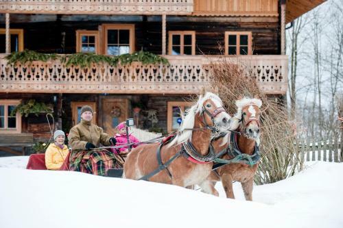 Apartchalet Jakob