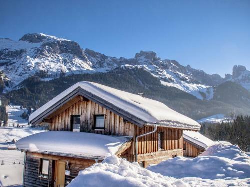 Dachstein Chalet Xl