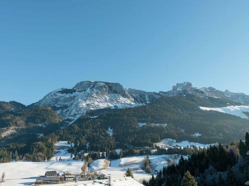 Dachstein Chalet Xl