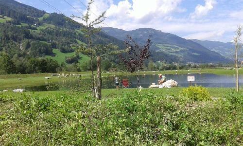 Apartamento Schweinberger Sixtus