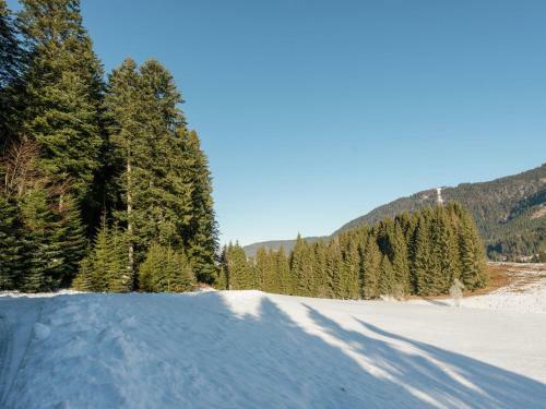 Spacious Chalet In Annaberg-lung�tz With Sauna