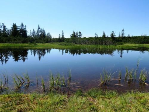 Spacious Chalet In Annaberg-lung�tz With Sauna