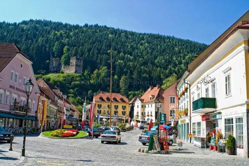 Hotel Friesacherhof