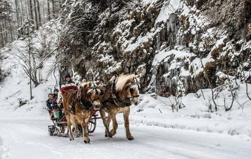 Urige H�tte Im Nationalpark Ges�use