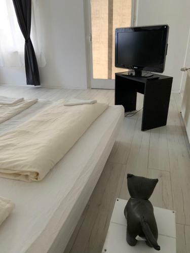 The City Apartments