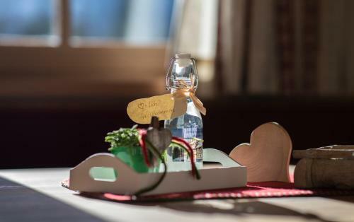 Apartamento Chalet Hoamatgf�hl By Schladmingurlaub