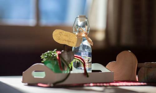 Apartamento Chalet Hoamatgf�hl By Schladmingurlaub