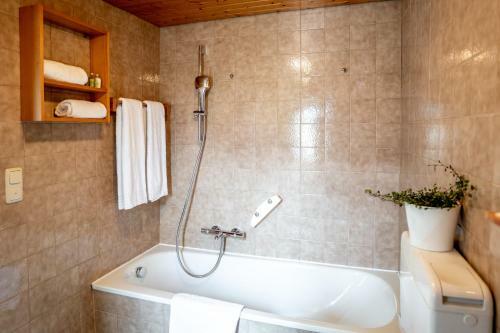 Lakeview Apartment