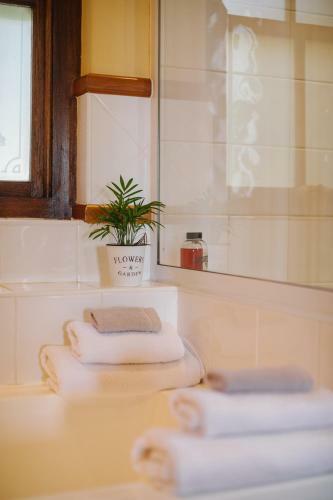 Hostal High Timbers Lodge
