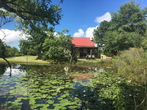 Hostal Forest Edge - Nature Lovers' Retreat