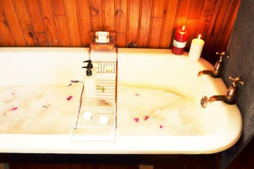 Hostal Forest Edge - Nature Lovers' Retreat