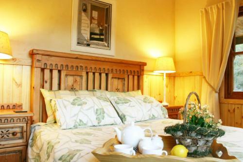 Hostal Forest Edge - Nature Lovers' Retreat
