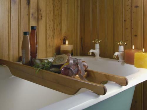 Hostal Forest Edge - Nature Lovers' Retreat