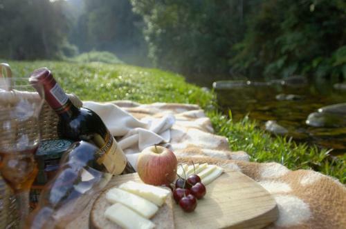 Hostal Forest Edge - Nature Lovers' Retreat