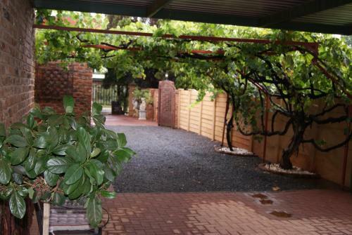 Apartamentos Ruresta Guesthouse