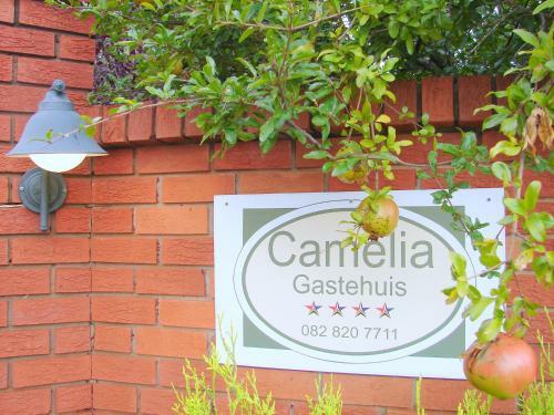 Hostal Camelia Guest House