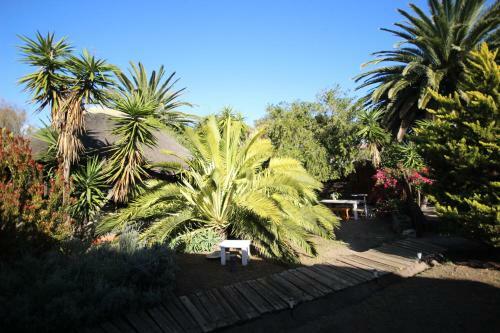 Saltycrax Backpackers And Surf Hostel