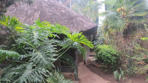 Hotel Aero Guest Lodge