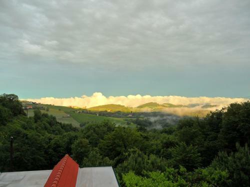 Bed & Breakfast Weingut Stoff