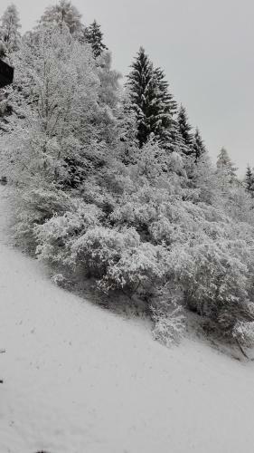 Bed & Breakfast Pension Brunner
