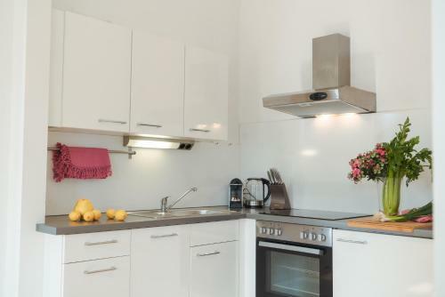Smile Apartments Zur Gozzoburg