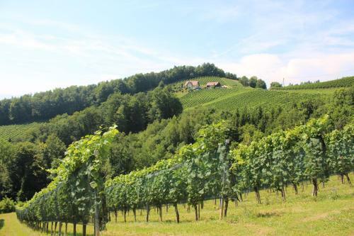 Apartamento Ferienwohnung Fellner