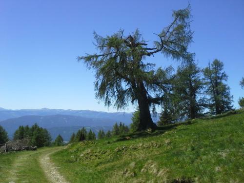 Apartamento Fanningerwirt