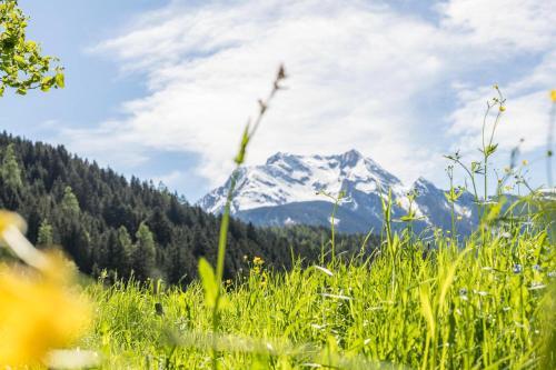 Apartamento Ferienwohnung Schneeberger 3