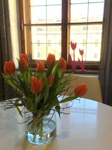 Apartamento Wohnung Schloss Mondsee