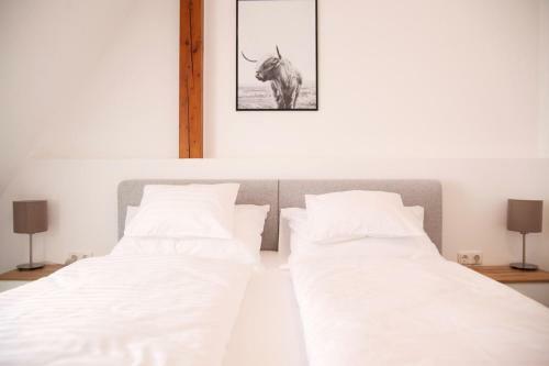 Hostal Haus56