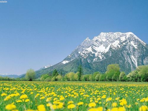 Apartamento Schladming An Der Piste 3