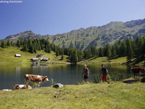 Apartamento Schladming An Der Piste 1