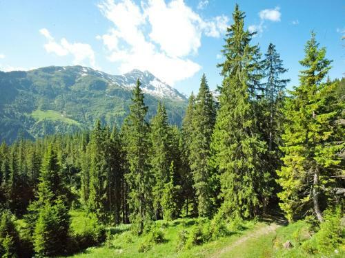 Restful Apartment In Sankt Anton Am Arlberg With Sauna