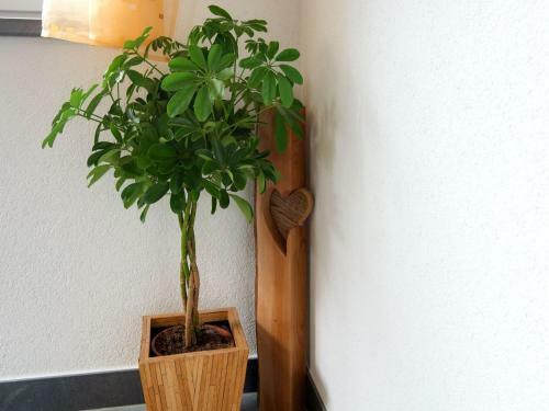 Restful Apartment In Sankt Anton Am Arlberg With Sauna