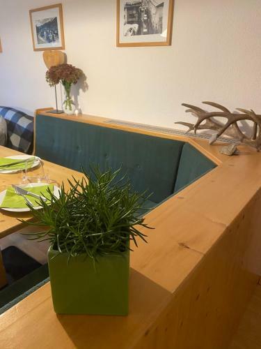 Apartamento Alpina Appartement