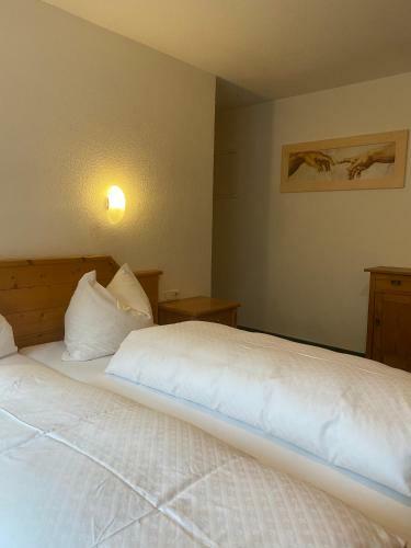 Apartamento Alpina Appartement