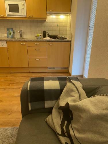 Apartamento Alpina Appartement