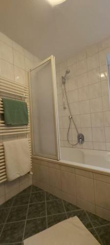 Apartamento Alpina Appartement