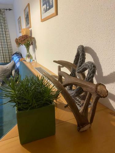 Apartamento Alpina Appartement