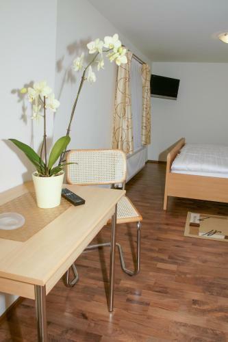 Hostal Gasthof Hofbauer