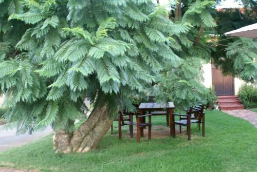Airport Inn Bed And Breakfast