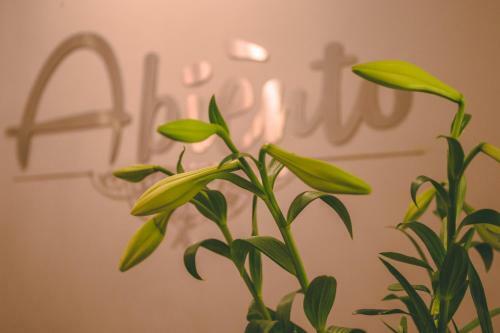 Hostal Abiento Guesthouse