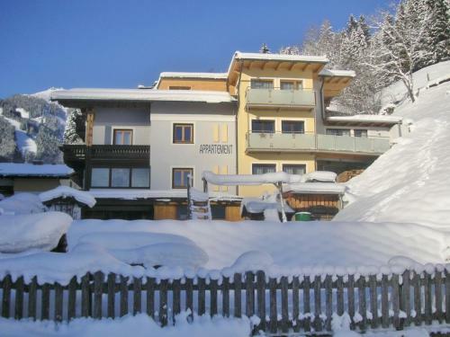 Pleasant Apartment In Schmitten With Ski Storage