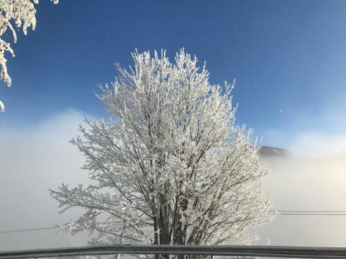 Hotel Alpengasthof Hochs�ll