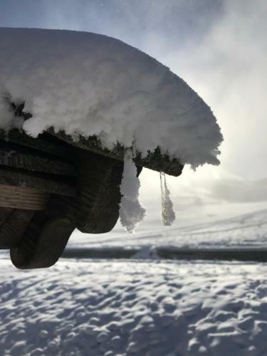 Hotel Alpengasthof Hochs�ll